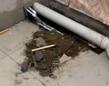 莱芜市卫生间漏水检测哪家好